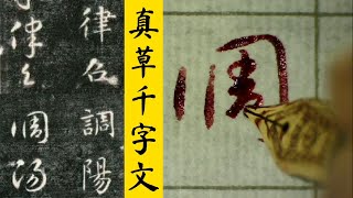 【硬筆臨古】臨帖的最高境界是“透過刀痕看筆痕”＃智永《真草千字文》（刻本）（4）“閏餘成歲，律召調陽” PenmAndy黄 [upl. by Bruce]