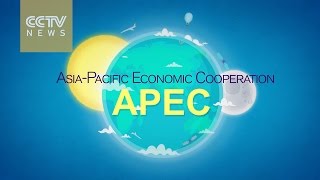 What is APEC [upl. by Ynner222]