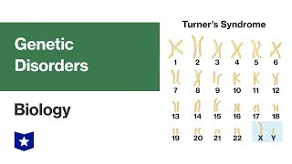 genetic diseases  overview and classification [upl. by Trevethick]