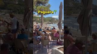 Paguera🌴🏖️MALLORCA island❤️die Mai Sonne genießen😍 🇪🇸spain mallorca travel shorts [upl. by Ikcaj976]