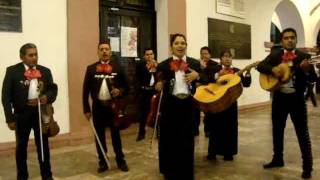 mariachi los caporales  la pollera colorada en vivo [upl. by Millard]