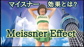 Meissner Effect マイスナー効果とは [upl. by Antons577]