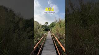 Okhla Bird Sanctuary Noida❤️ Best Place For couples okhlabirdsanctuary noida shorts [upl. by Niras]