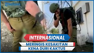 KOCAK Momen Tentara IDF Meringis Kesakitan Kena Duri Kaktus [upl. by Sanferd]