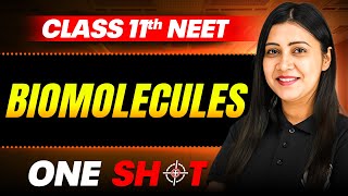 Biomolecules IN ONE SHOT  Full Concepts amp PYQ  Zoology  NEET Class 11th [upl. by Ahsieki]