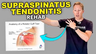 4 Supraspinatus Tendonitis Exercises [upl. by Leorsiy]