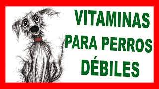 VITAMINAS Efectivas Para Perros o Gatos DESNUTRIDOS  GLICOPAN PET [upl. by Arat849]