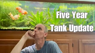 Five Year Tank Update Should I start making videos again [upl. by Eyk]