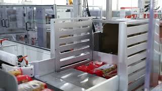 automatic case packer case packing machine [upl. by Phillipe]