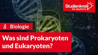 Was sind Prokaryoten und Eukaryoten  Biologie verstehen mit dem Studienkreis [upl. by Mini]