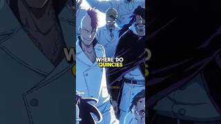 Where do Quincy go when they die bleach bleachtybw anime [upl. by Snell]