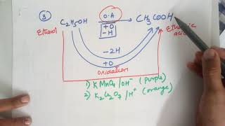 Ethanol part2 class 10 CBSE [upl. by Koetke]