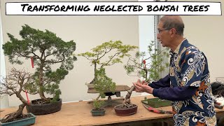 Transforming more Neglected Bonsai [upl. by Aohk765]