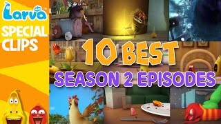 Official Best Larva Episodes  Season 2  Top 10 [upl. by Llyrehc]