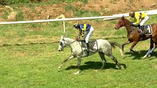 BRILLIANT LADY wins The Rahys Serenade Handicap Div2 [upl. by Elleinnod]