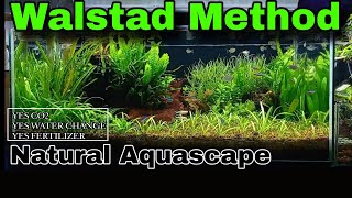 AQUASCAPING ideas  NATURE STYLE AQUASCAPE 😍 [upl. by Myke]