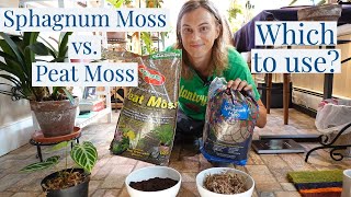 SPHAGNUM MOSS vs PEAT MOSS Grow Your Rare Houseplants Correctly [upl. by Everson177]