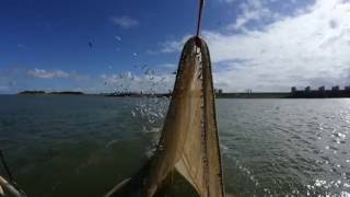 Dagje Waddenzee met Jan Rotgans [upl. by Onairot]