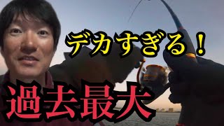 浜名湖へまだ暗い内から釣り竿一本持って釣りに行ったら、過去最大級のとんでもない大物が… [upl. by Nolyat]