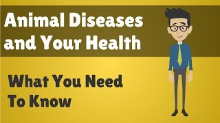 Animal Diseases and Your Health  What You Need To Know [upl. by Anelaj]