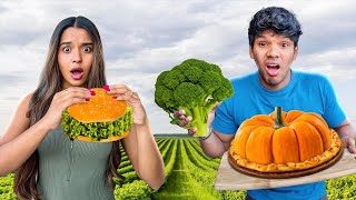 Eating Only VEGAN FOOD For 24 Hours 🌱 සිංහල vlog  Yash and Hass [upl. by Ttennaej]