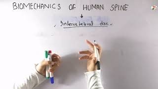 Structure of intervertebral disc  biomechanics of human spine  Part1 [upl. by Kirven88]