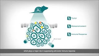 Crown Bioscience Mouse IO RNASeq Panel [upl. by Clement851]