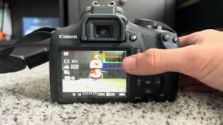 How to Display Histograms on the Canon Rebel T7 [upl. by Bowler]