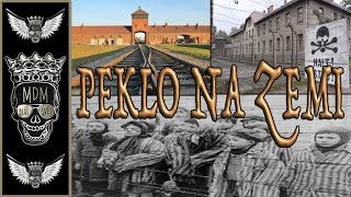 OSVĚTIM  AUSCHWITZ  BIRKENAU  BŘEZINKA  VAROVÁNÍ AKTUÁLNÍ ZÁBĚRY  POLSKO  PODROBNÁ CESTA [upl. by Bowerman]