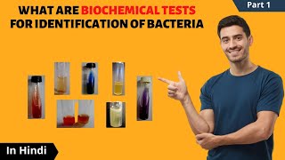 Biochemical Tests for Identification of Bacteria  in Hindi  CatalaseOxidaseICUT tests [upl. by Yrallih]