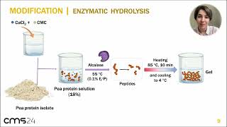 Niloufar Nourmohammadi  Improving Digestibility of Peabased Nuggets Through Enzymatic Hydrolysis [upl. by Ydnac]