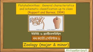 Exploring Platyhelminthes General Characteristics and Classification [upl. by Alverta]