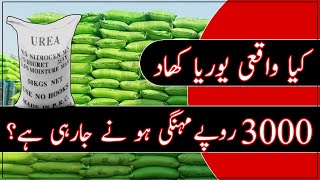 urea fertilizer applicationurea price in pakistanurea price today [upl. by Ardnoik]