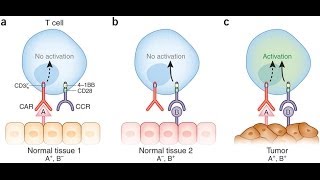 Tumor specific antigen [upl. by Ggerk]