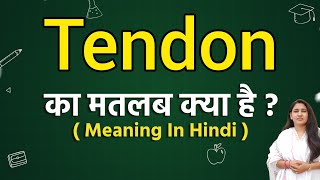 Tendon meaning in hindi  Tendon ka matlab kya hota hai  Word meaning [upl. by Tremaine339]