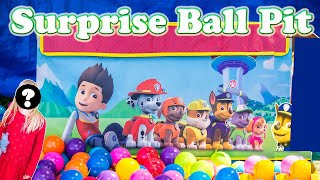 The Assistant Opens the Paw Patrol and Blaze Surprise Ball Pit [upl. by Tullus]