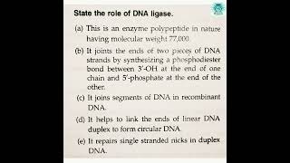 DNA ligase DNA repair Xeroderma pigmentation [upl. by Yrred154]