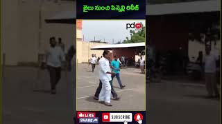 Pinnelli Ramakrishna Reddy Released From Jail cmchandrababu ysjagan pdtvnews [upl. by Murial]