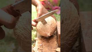 Smart way to remove coconut meat from its shell [upl. by Adams]