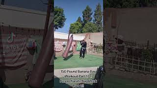 150 Pound Banana Bag Workout Part 172 Kenpo Karate Bag Work Part 2 [upl. by Sorce]