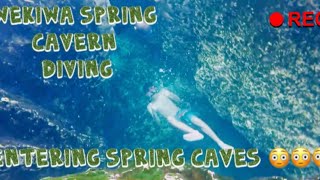 Wekiwa Springs Cavern Diving [upl. by Ylrak]