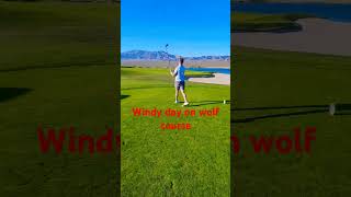 Paiute wolf amp snow golf course in Las Vegas is top 6 in las Vegas birdies and eagles [upl. by Fougere703]