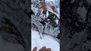 Swat valley snowfall snowfall kumratvalley swat travel shorts [upl. by Elolcin136]