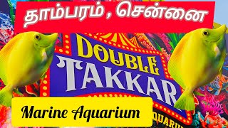 🐠 Tambaram Fish Exhibition just Rs100tambaram Double Takkar aquarium exhibition chennai [upl. by Pleasant]