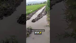 🌽⛈️🌧️🌿🤠☘️ agriculture campo farmmachinery tractor rancho [upl. by Nels]