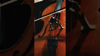 Bachs Cello Suite No 4 Allemande allemande musician classical solo youtubeshorts shorts [upl. by Roda]