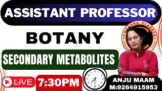 PLANT SECONDARY METABOLITES  BY ANJU MAM [upl. by Metabel835]