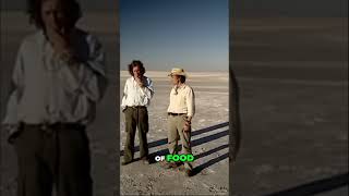 Top Gear Botswana Special Part 1 Worlds Deadliest Salt Flats grandtour jeremyclarkson topgear [upl. by Eintihw]