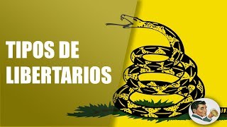 Tipos y Diferencias de Liberales y Libertarios [upl. by Conner]