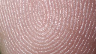 Finger print macro video macro iran [upl. by Wahlstrom]